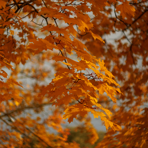 Photo #14084105