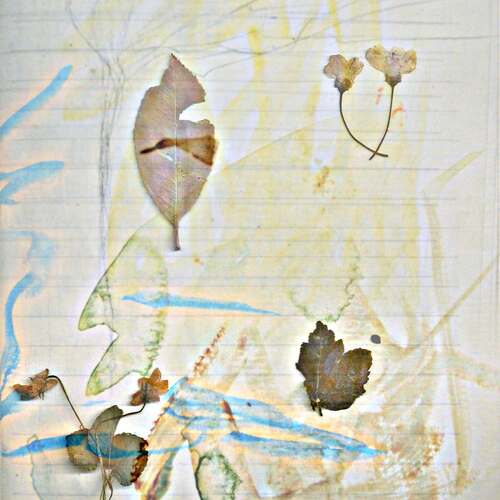 Photo #14084170