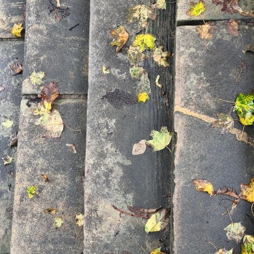 Фотография #14084175