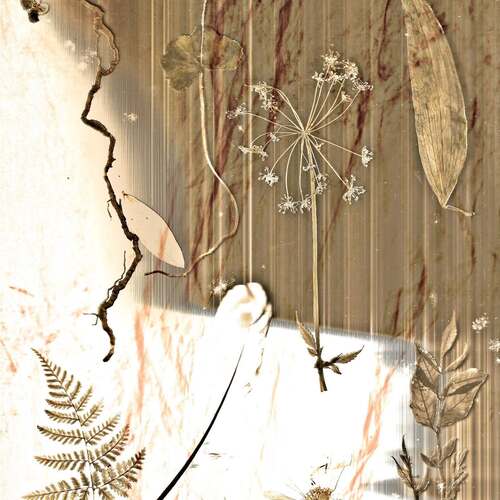 Photo #14084182
