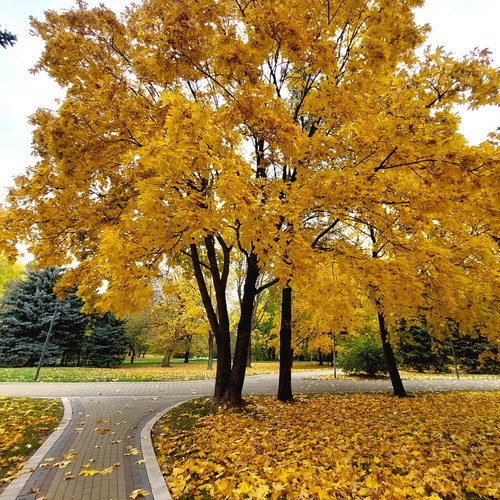 Photo #14084190