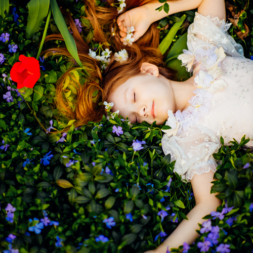 Photo #14084210