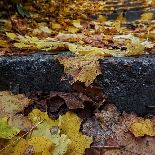 Photo #14084234