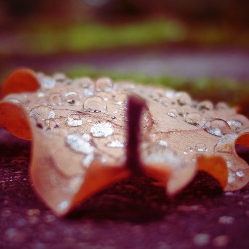 Photo #14084243