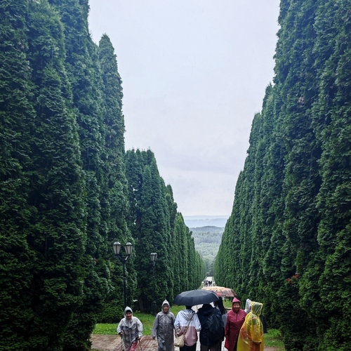 Photo #14084307