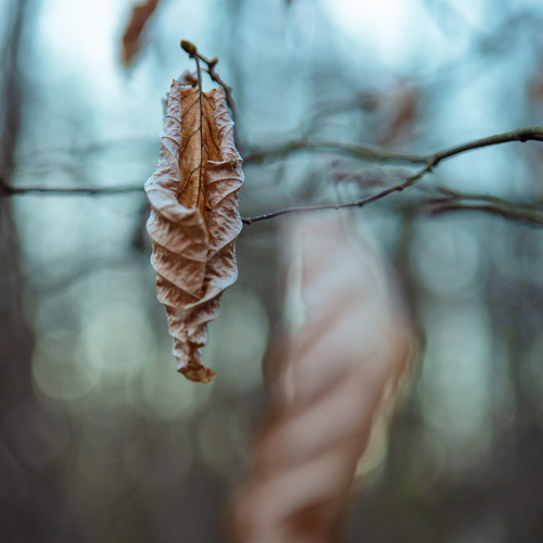 Photo #14084334