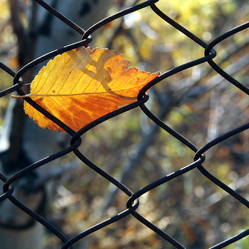 Photo #14084337