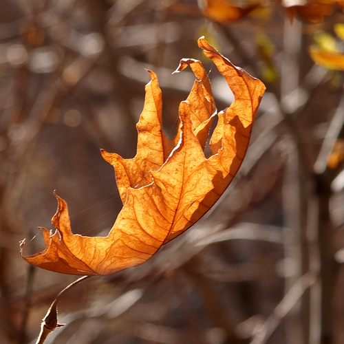 Photo #14084340