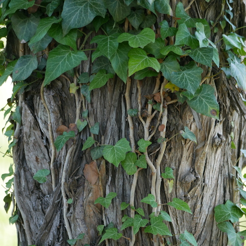 Photo #14084383
