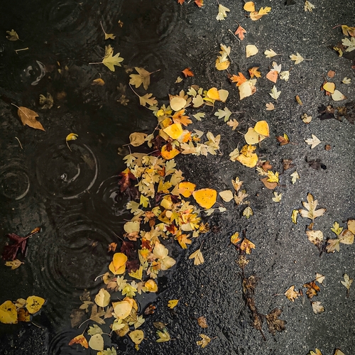 Photo #14084393