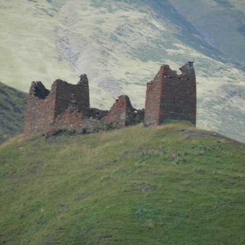 Photo #14084443