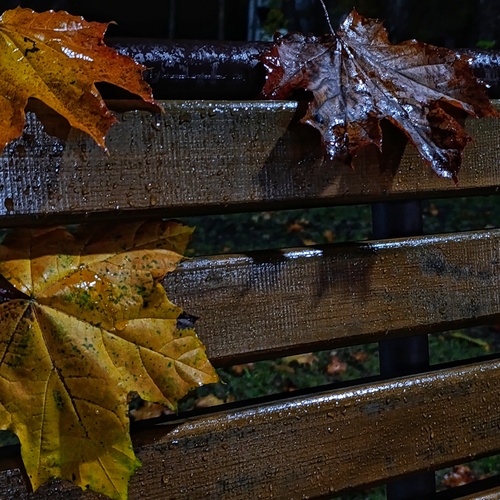 Photo #14084460