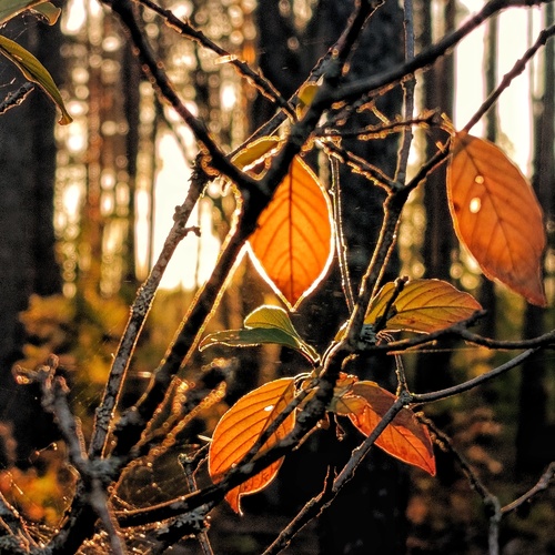 Photo #14084461