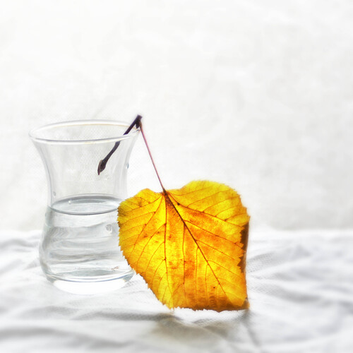 Photo #14084468