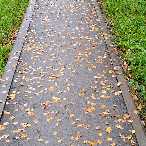 Photo #14084473