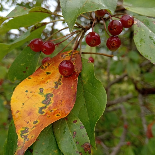 Photo #14084476
