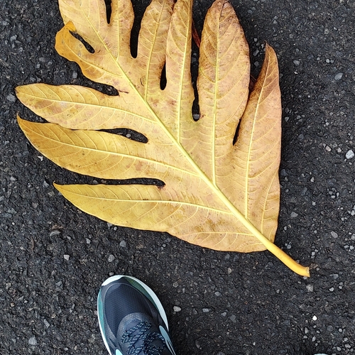 Photo #14084481
