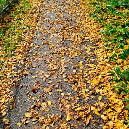 Photo #14084482