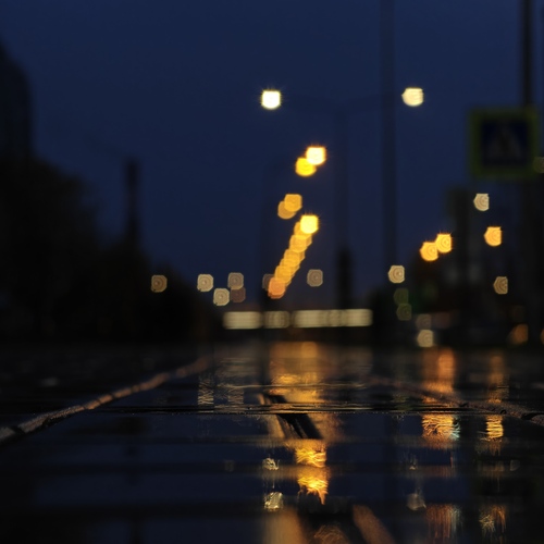 Photo #14084498