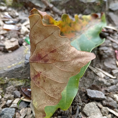 Photo #14084535