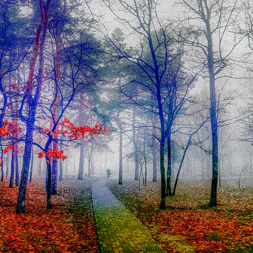 Photo #14084546