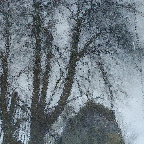 Photo #14084557
