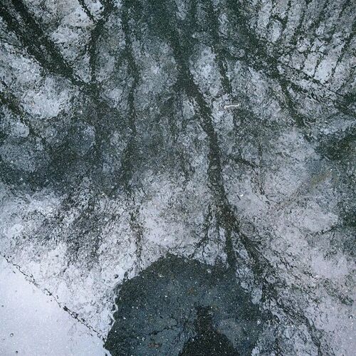 Photo #14084560