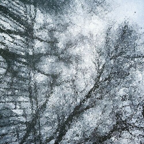 Photo #14084561