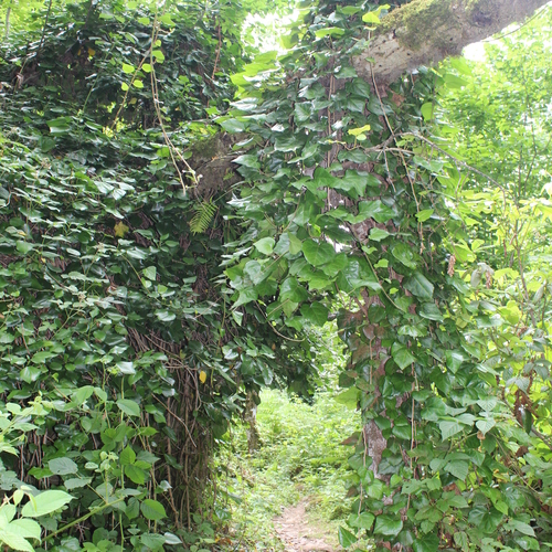 Photo #14084565