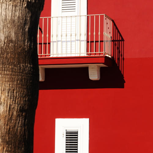 Colori d\'Agosto crepati da un albero.
