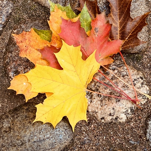 Photo #14084608