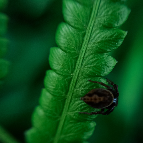 Macro moments in the green