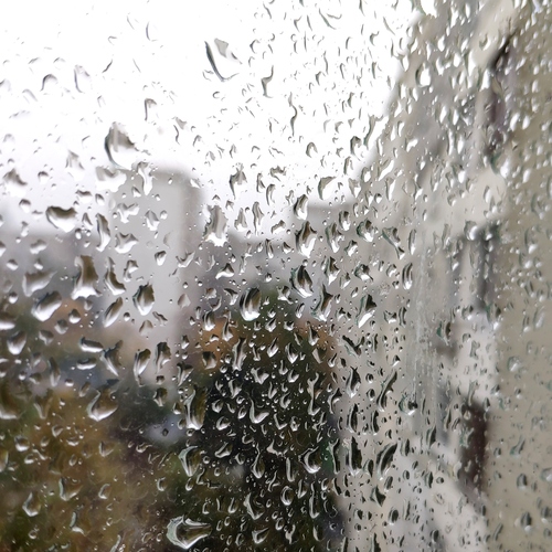 Photo #14084618