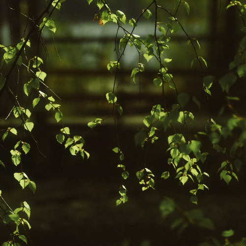 Photo #14084623
