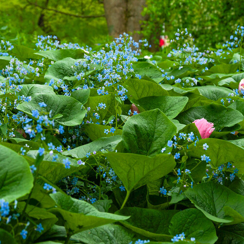 Photo #14084648