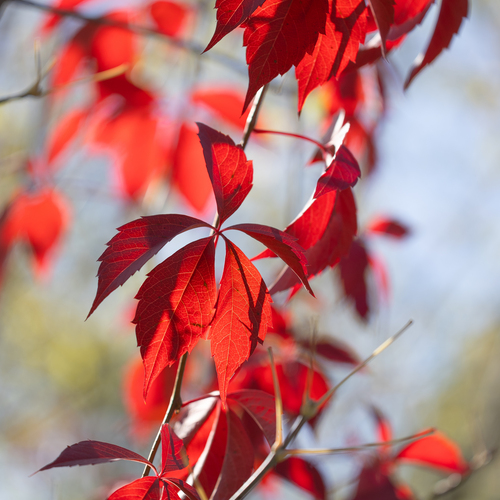 Photo #14084669