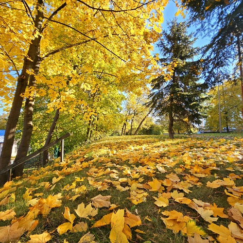 Photo #14084747