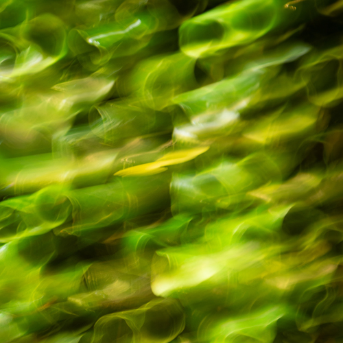 Photo #14084752