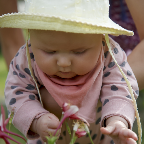 Photo #14084757