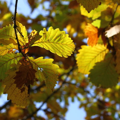 Photo #14084761