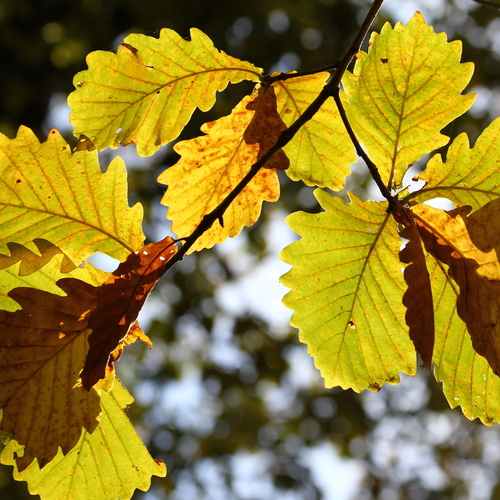 Photo #14084762