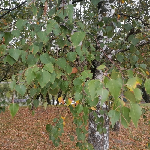 Photo #14084766