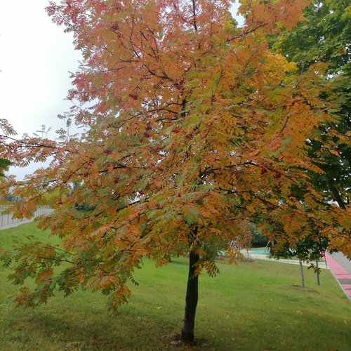 Photo #14084777