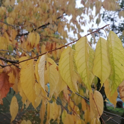 Photo #14084784
