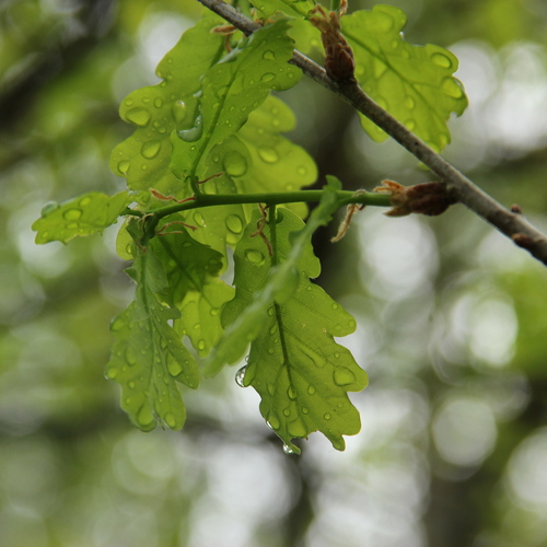 Photo #14084788