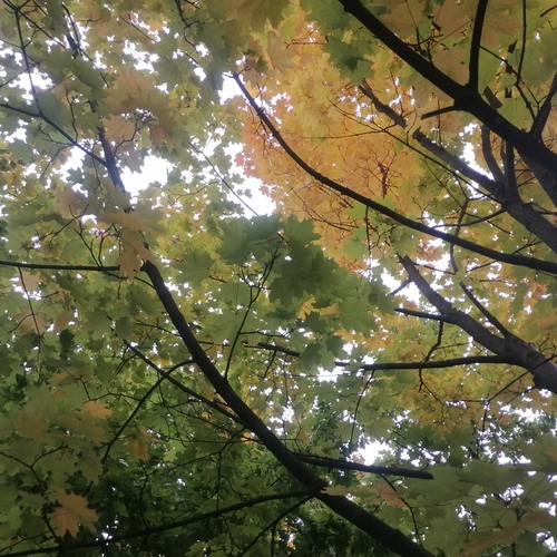 Photo #14084792