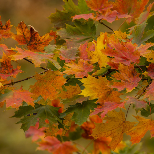 Photo #14084797