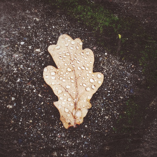 Photo #14084802