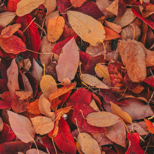 Photo #14084813