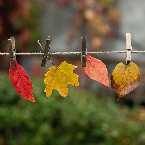 Photo #14084829